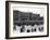 Ve Day Celebrations in London 1945-Nixon Greaves and-Framed Photographic Print