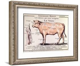 Veal: Diagram Depicting the Different Cuts of Meat-French School-Framed Giclee Print