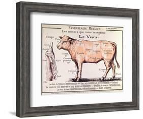 Veal: Diagram Depicting the Different Cuts of Meat-French School-Framed Giclee Print