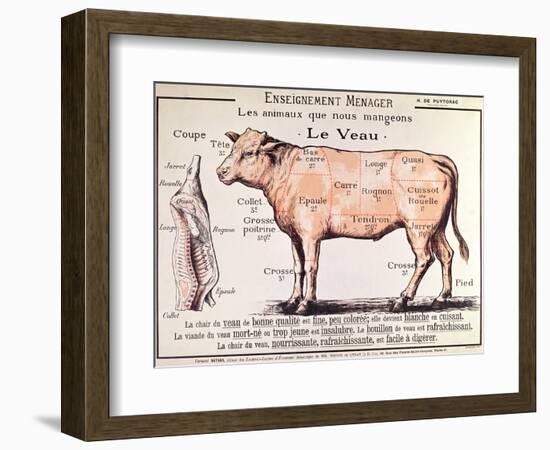 Veal: Diagram Depicting the Different Cuts of Meat-French School-Framed Giclee Print