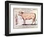 Veal: Diagram Depicting the Different Cuts of Meat-French School-Framed Giclee Print