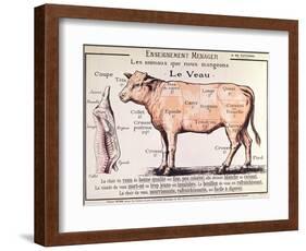 Veal: Diagram Depicting the Different Cuts of Meat-French School-Framed Giclee Print