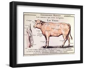 Veal: Diagram Depicting the Different Cuts of Meat-French School-Framed Giclee Print