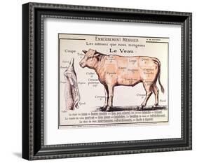 Veal: Diagram Depicting the Different Cuts of Meat-French School-Framed Giclee Print