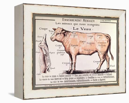 Veal: Diagram Depicting the Different Cuts of Meat-French School-Framed Premier Image Canvas