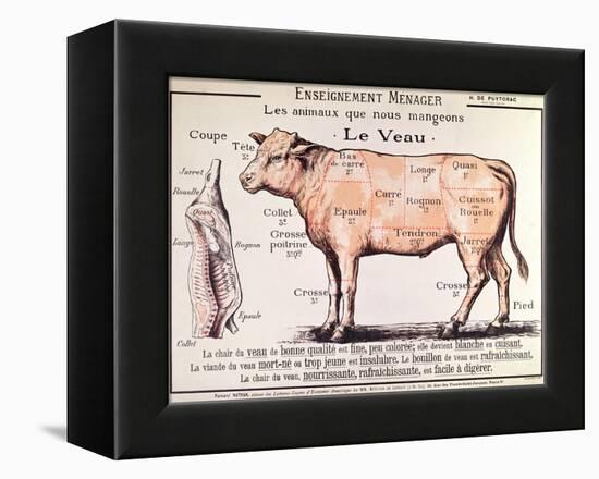 Veal: Diagram Depicting the Different Cuts of Meat-French School-Framed Premier Image Canvas