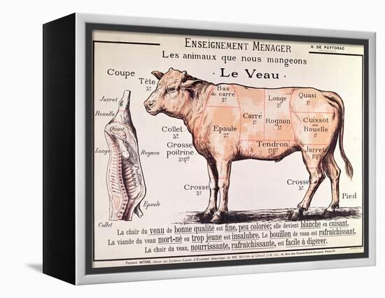 Veal: Diagram Depicting the Different Cuts of Meat-French School-Framed Premier Image Canvas