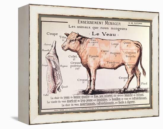 Veal: Diagram Depicting the Different Cuts of Meat-French School-Framed Premier Image Canvas