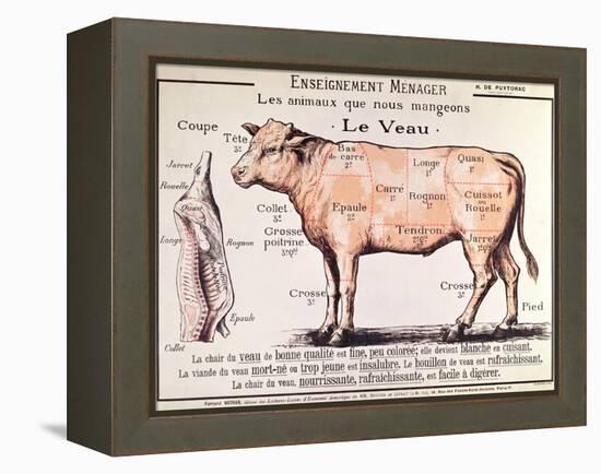 Veal: Diagram Depicting the Different Cuts of Meat-French School-Framed Premier Image Canvas