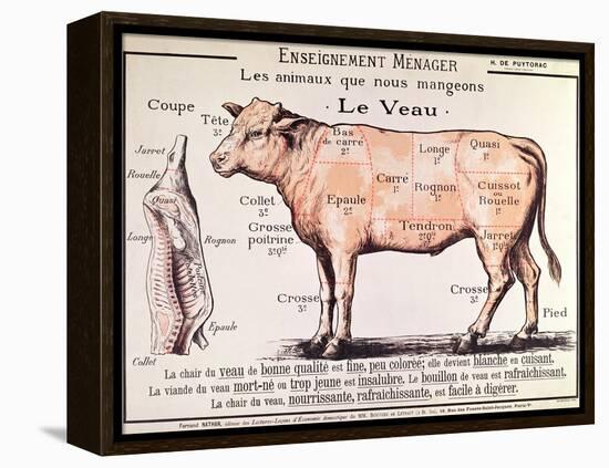 Veal: Diagram Depicting the Different Cuts of Meat-French School-Framed Premier Image Canvas