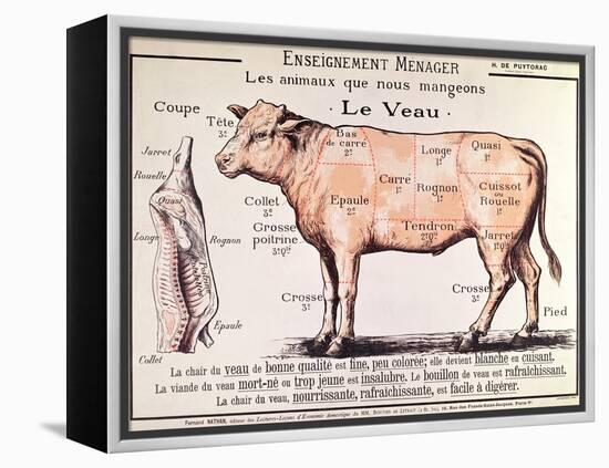 Veal: Diagram Depicting the Different Cuts of Meat-French School-Framed Premier Image Canvas