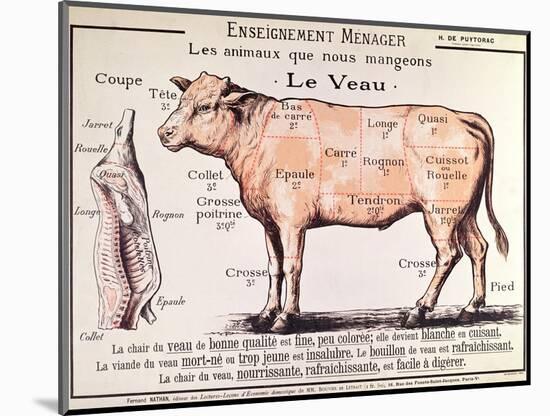 Veal: Diagram Depicting the Different Cuts of Meat-French School-Mounted Premium Giclee Print