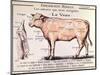 Veal: Diagram Depicting the Different Cuts of Meat-French School-Mounted Premium Giclee Print