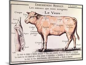 Veal: Diagram Depicting the Different Cuts of Meat-French School-Mounted Premium Giclee Print