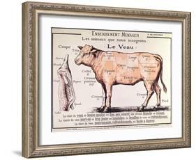 Veal: Diagram Depicting the Different Cuts of Meat-French School-Framed Giclee Print
