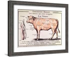 Veal: Diagram Depicting the Different Cuts of Meat-French School-Framed Giclee Print