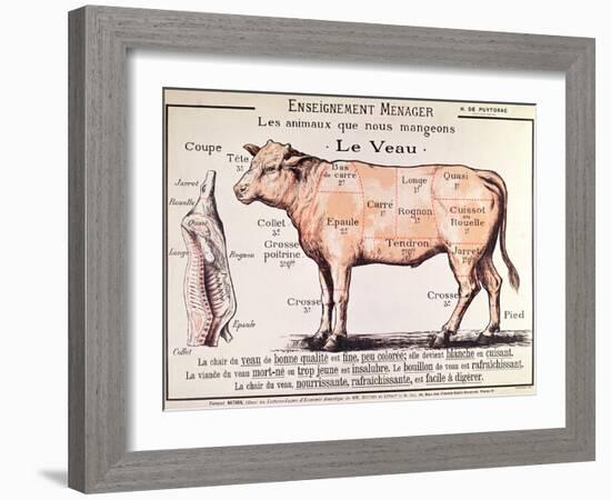 Veal: Diagram Depicting the Different Cuts of Meat-French School-Framed Giclee Print