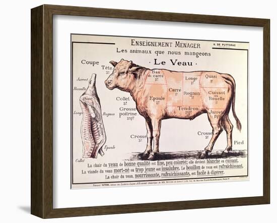 Veal: Diagram Depicting the Different Cuts of Meat-French School-Framed Giclee Print