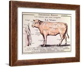 Veal: Diagram Depicting the Different Cuts of Meat-French School-Framed Giclee Print