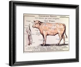 Veal: Diagram Depicting the Different Cuts of Meat-French School-Framed Giclee Print