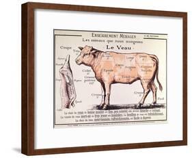 Veal: Diagram Depicting the Different Cuts of Meat-French School-Framed Giclee Print