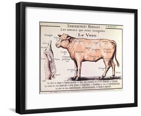 Veal: Diagram Depicting the Different Cuts of Meat-French School-Framed Giclee Print