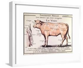 Veal: Diagram Depicting the Different Cuts of Meat-French School-Framed Giclee Print