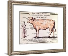 Veal: Diagram Depicting the Different Cuts of Meat-French School-Framed Giclee Print