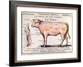 Veal: Diagram Depicting the Different Cuts of Meat-French School-Framed Giclee Print