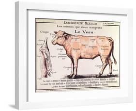 Veal: Diagram Depicting the Different Cuts of Meat-French School-Framed Giclee Print
