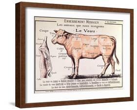 Veal: Diagram Depicting the Different Cuts of Meat-French School-Framed Giclee Print