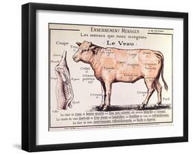 Veal: Diagram Depicting the Different Cuts of Meat-French School-Framed Giclee Print