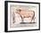 Veal: Diagram Depicting the Different Cuts of Meat-French School-Framed Giclee Print