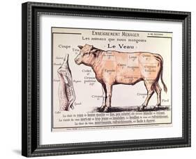 Veal: Diagram Depicting the Different Cuts of Meat-French School-Framed Giclee Print