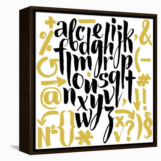 Vector Alphabet. Hand Drawn Letters. Letters of the Alphabet Written with a Brush.-veraholera-Framed Stretched Canvas