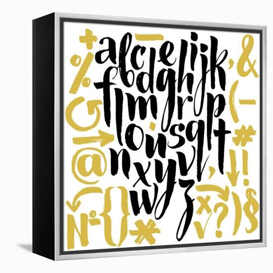 Vector Alphabet. Hand Drawn Letters. Letters of the Alphabet Written with a Brush.-veraholera-Framed Stretched Canvas