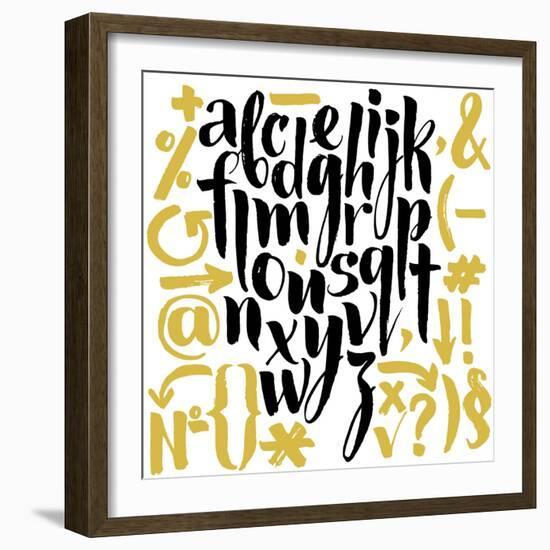 Vector Alphabet. Hand Drawn Letters. Letters of the Alphabet Written with a Brush.-veraholera-Framed Premium Giclee Print