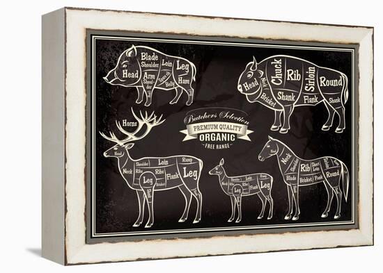 Vector Diagram Cut Carcasses Boar, Bison, Deer, Horse-111chemodan111-Framed Stretched Canvas