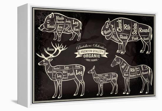 Vector Diagram Cut Carcasses Boar, Bison, Deer, Horse-111chemodan111-Framed Stretched Canvas