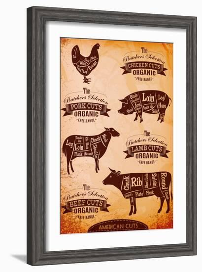 Vector Diagram Cut Carcasses Chicken, Pig, Cow, Lamb-111chemodan111-Framed Art Print