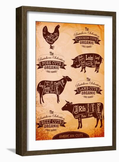 Vector Diagram Cut Carcasses Chicken, Pig, Cow, Lamb-111chemodan111-Framed Art Print