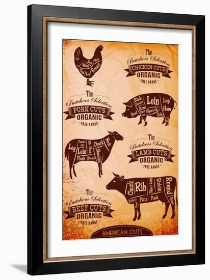 Vector Diagram Cut Carcasses Chicken, Pig, Cow, Lamb-111chemodan111-Framed Art Print