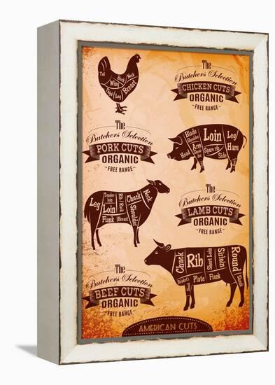 Vector Diagram Cut Carcasses Chicken, Pig, Cow, Lamb-111chemodan111-Framed Stretched Canvas