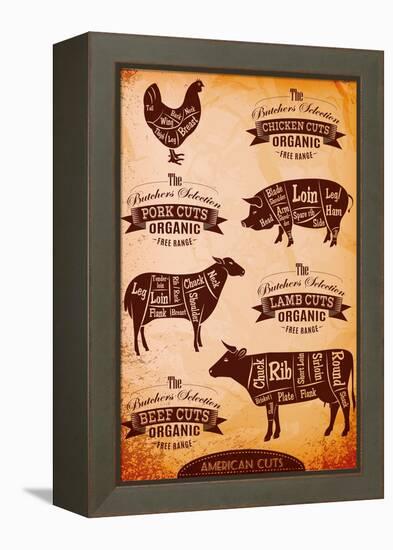 Vector Diagram Cut Carcasses Chicken, Pig, Cow, Lamb-111chemodan111-Framed Stretched Canvas