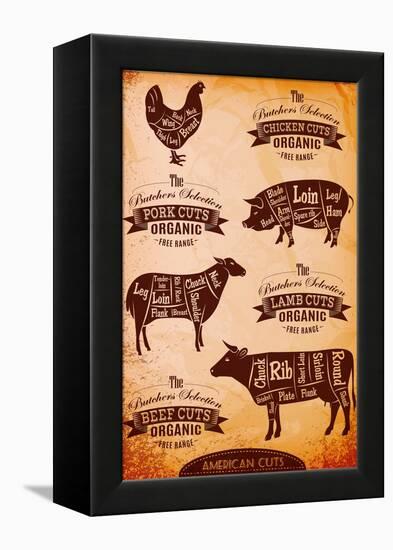 Vector Diagram Cut Carcasses Chicken, Pig, Cow, Lamb-111chemodan111-Framed Stretched Canvas