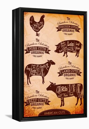 Vector Diagram Cut Carcasses Chicken, Pig, Cow, Lamb-111chemodan111-Framed Stretched Canvas