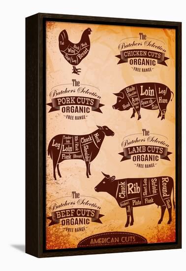 Vector Diagram Cut Carcasses Chicken, Pig, Cow, Lamb-111chemodan111-Framed Stretched Canvas