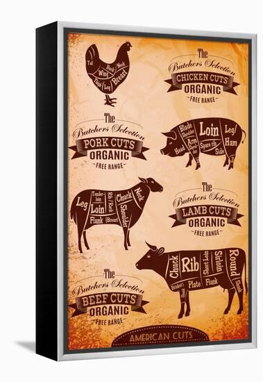 Vector Diagram Cut Carcasses Chicken, Pig, Cow, Lamb-111chemodan111-Framed Stretched Canvas