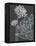 Vector Flowers over Black Background-Danussa-Framed Stretched Canvas