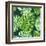 Vector Illustration with Tropical Leaves-Monash-Framed Art Print